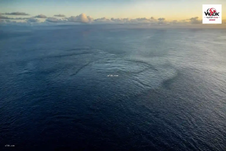 زلزال قوي يهز شمال شرق المحيط الهادئ.. ماذا حدث في أعماق Northern East Pacific Rise؟
