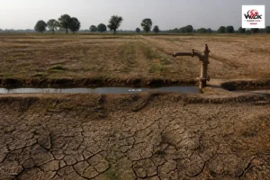 الجفاف مستمر في الهند.. ماذا يعني بقاء مستوى الإنذار أخضر؟