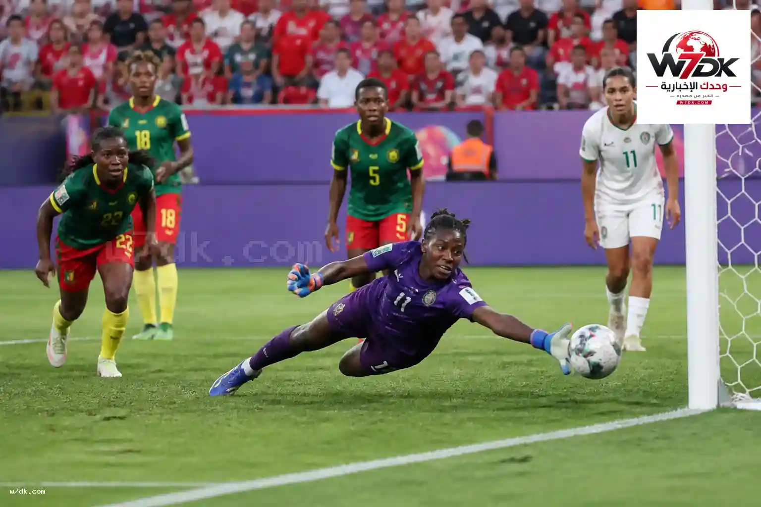 ميشايلي بيهينا: حارسة مرمى الكاميرون تصنع التاريخ في كأس أمم أفريقيا للسيدات 2026