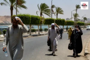 طقس مصر 17 سبتمبر 2026: حرارة شديدة تصل إلى 43.7 درجة في أسوان وفرصة أمطار محدودة بكفر الشيخ