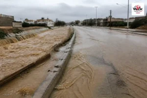 سيول الجزائر تحت إنذار أخضر.. ماذا تكشف الحصيلة المسجلة؟