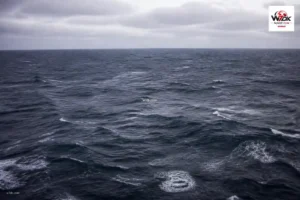 زلزال جنوب أفريقيا يهز المحيط... ماذا تكشف بيانات الرصد؟