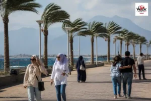 طقس مصر الثلاثاء 6 أكتوبر 2026: أجواء دافئة إلى حارة جنوباً ورياح نشطة بسيناء والبحر الأحمر